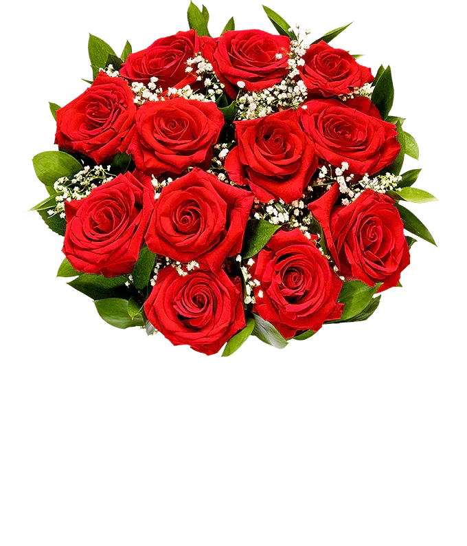 Valentine Rose Bundle