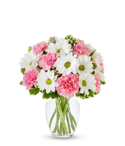 Pastel Rose & Daisy Delight - Same-Day Flower Delivery Jupiter, FL