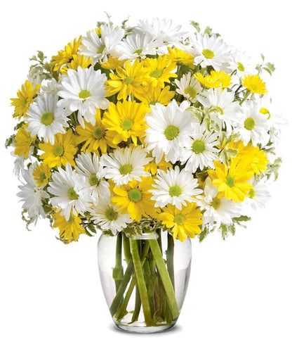 Upsy Daisy Bouquet - Same-Day Flower Delivery Boynton Beach, FL
