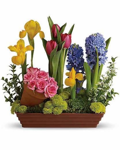 Spring is Here!