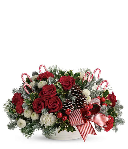 Candy Canes & Roses