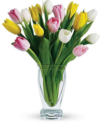 Tulip Treasures