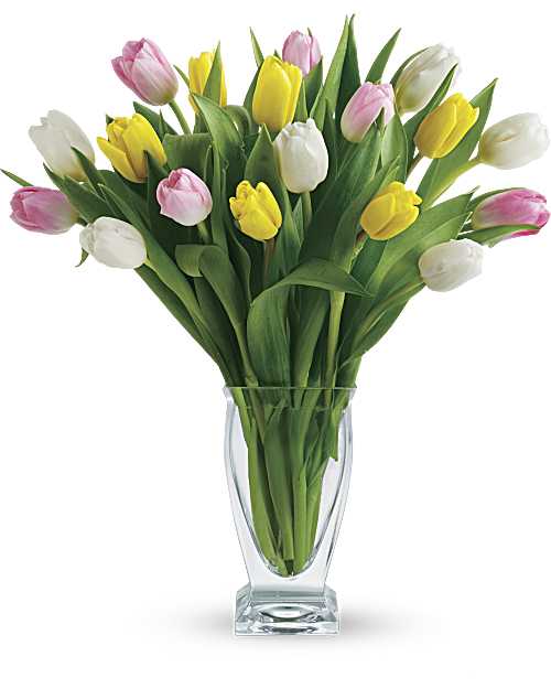 Tulip Treasures