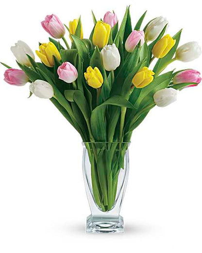 Tulip Treasures